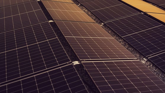 ESG Watch | S-RM placeholder thumbnail