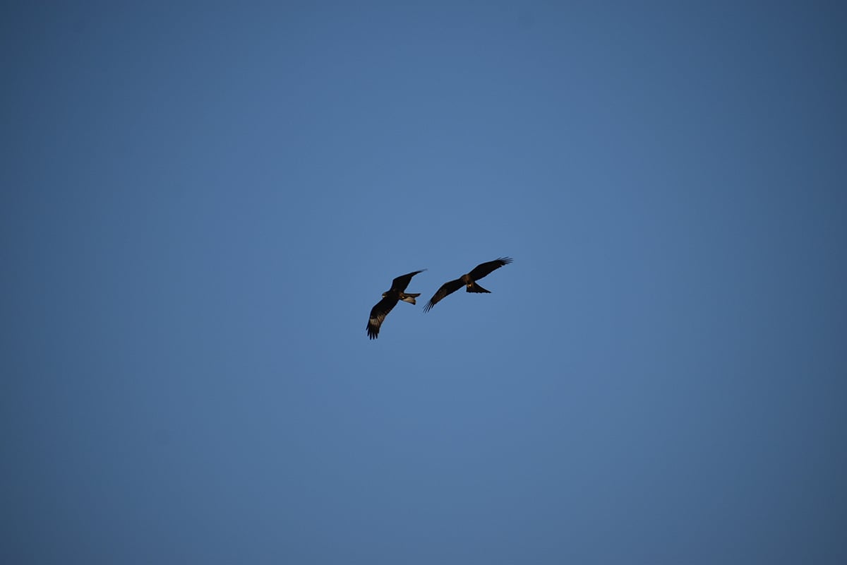 S-RM Strategic Intelligence Jerry Interview