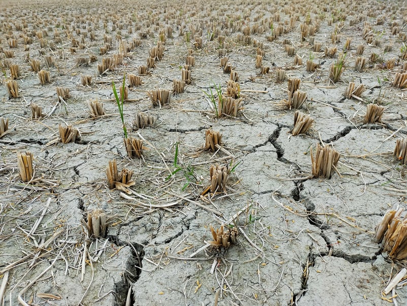 When the river runs dry: Managing water security risks