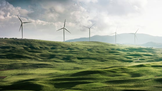 Wind turbines in a green field