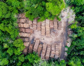 ESG Watch | S-RM placeholder thumbnail