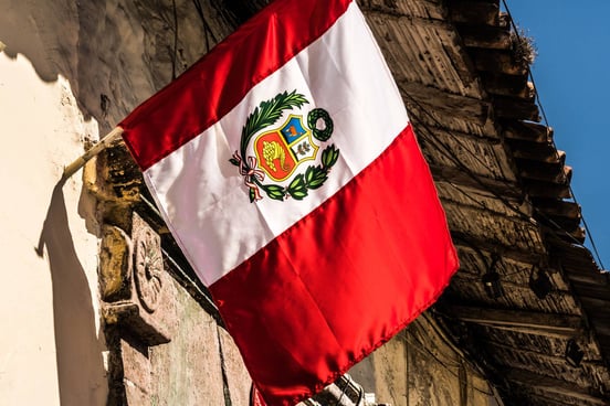 Global Risk Hub | S-RM placeholder thumbnail