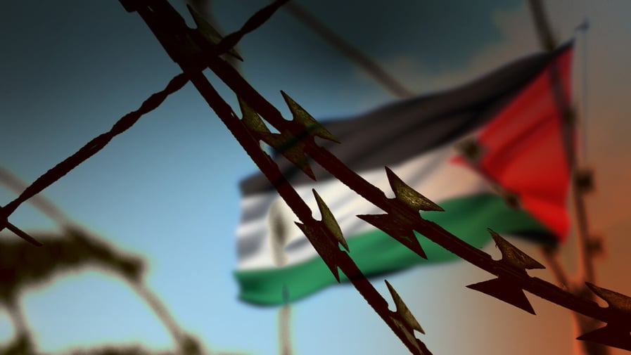 Barbed wire and flag of Palestine