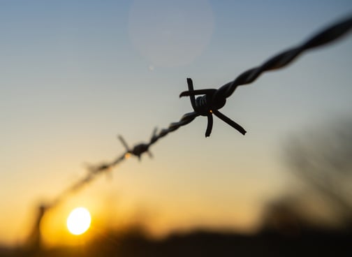 Barbed Wire in the sunset