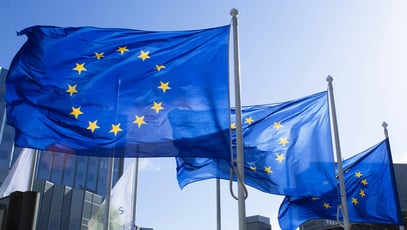 EU flags