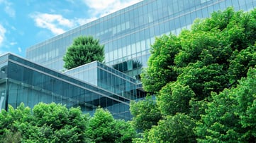 Building with trees