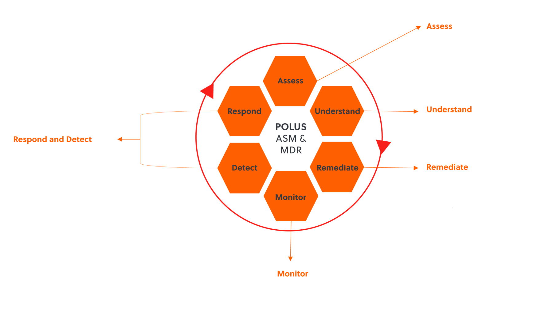 Polus ASM & MDR Graphic2