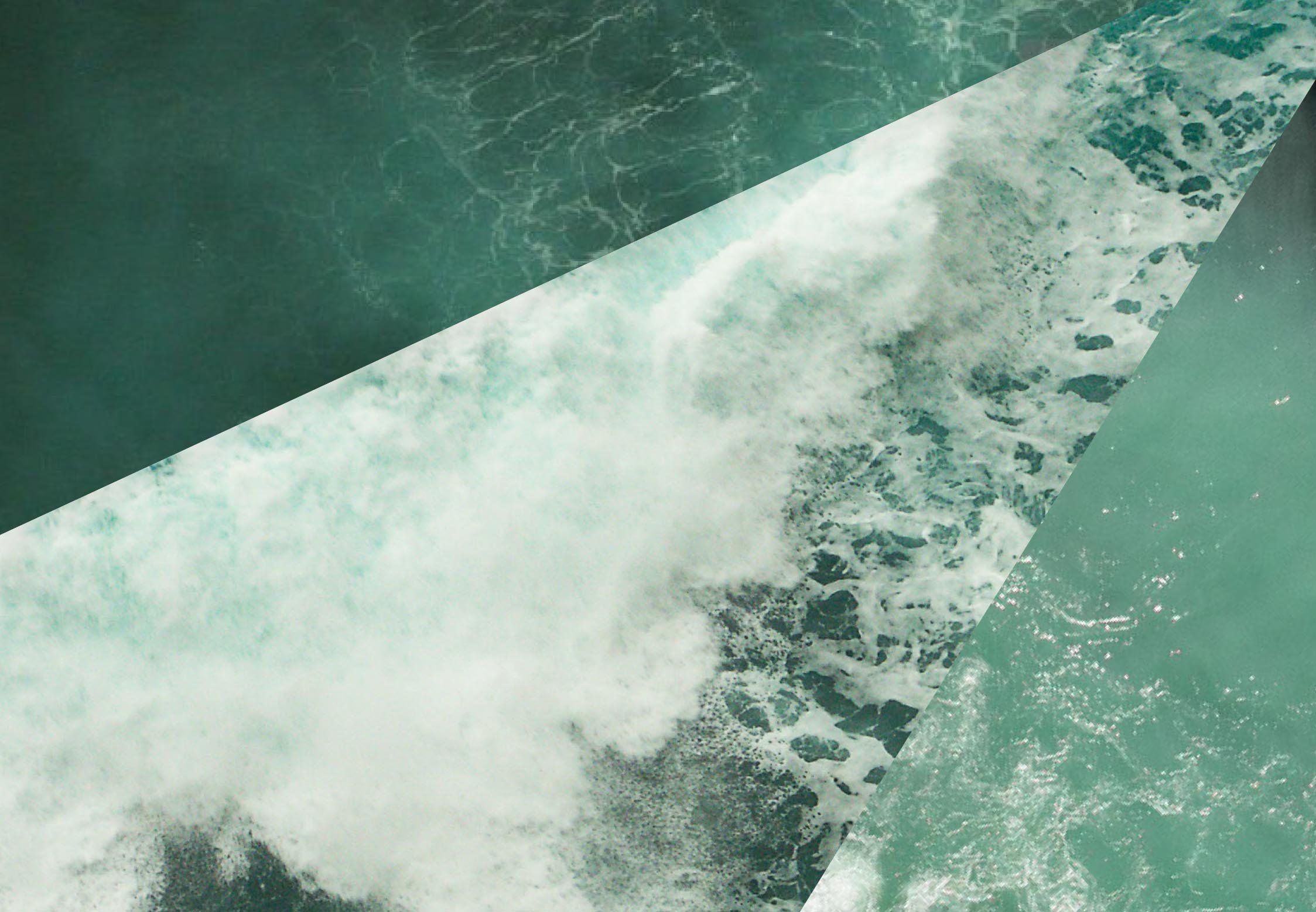 S-RM Investor Sentiment Report 2025_Hero Image