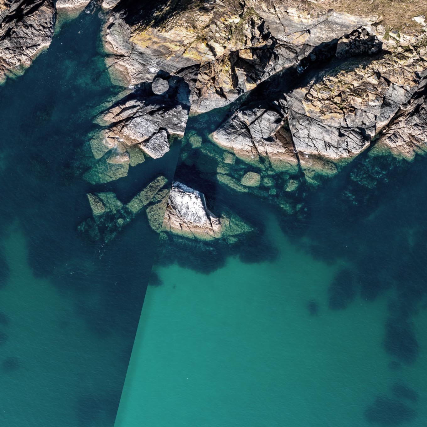 S-RM Investor Sentiment Report 2025_Two Column 2-1